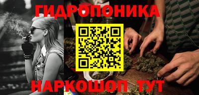 бошки Моздок
